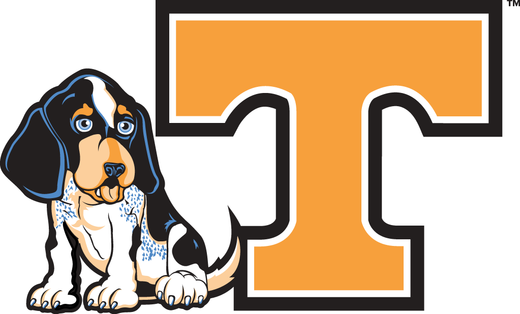 Tennessee Volunteers 2005-Pres Misc Logo diy DTF decal sticker